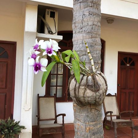 Hotel Lagoon Paradise Negombo Exteriér fotografie