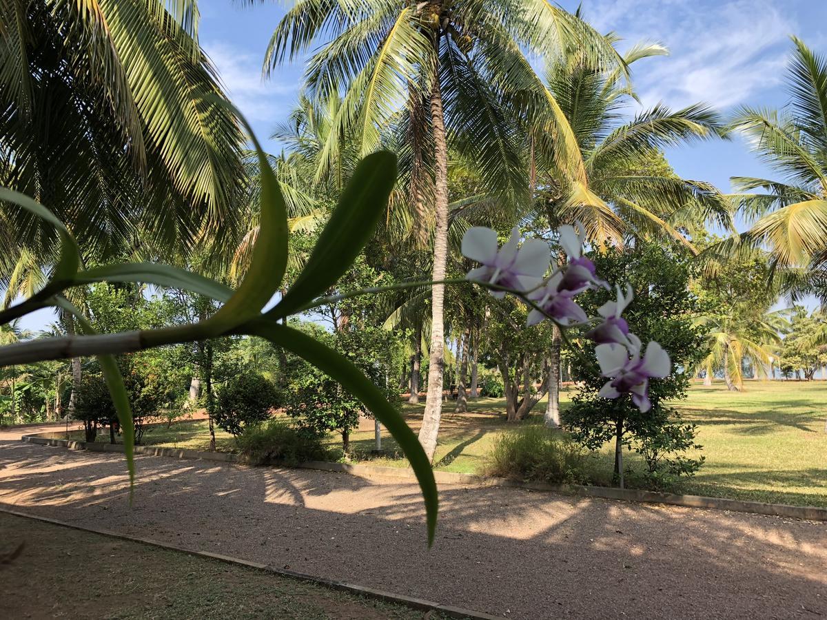 Hotel Lagoon Paradise Negombo Exteriér fotografie