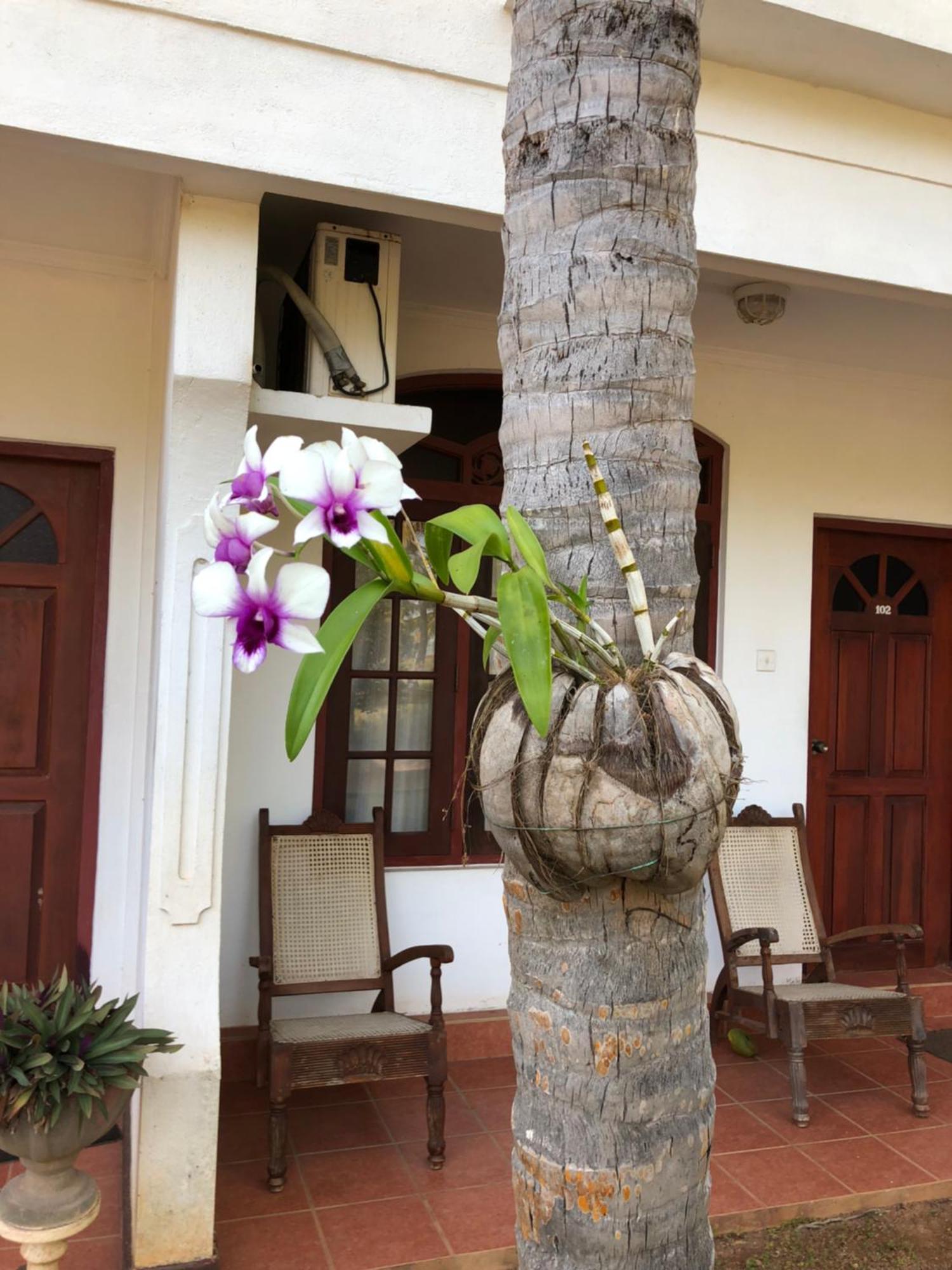 Hotel Lagoon Paradise Negombo Exteriér fotografie